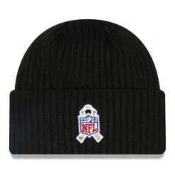 NewEra NFL 22 Salute To Service Knit Hat - Los Angeles Rams